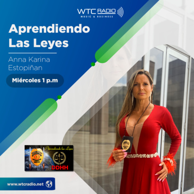 Invitados: Abogado Derecho en niñas y niños y Adolescentes Pedro Mendoza, CEO de Pin5 Jorge Cegarra